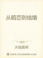 《从暗恋到结婚》小说封面