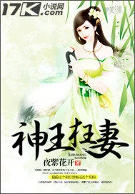 《神王狂妻》小说封面