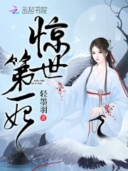 《惊世第一妃》小说封面