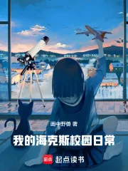 《我的海克斯校园日常》小说封面