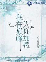 《我在巅峰，为你加冕》小说封面