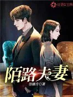 《陌路夫妻》小说封面