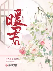 《暖君》小说封面