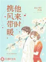 《他来时携风带暖》小说封面