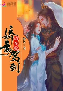 《娇妻驾到请查收》小说封面