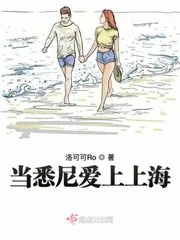 《当悉尼爱上上海》小说封面