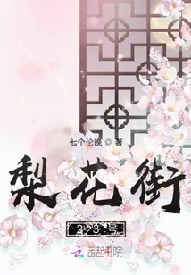 《梨花街23号》小说封面