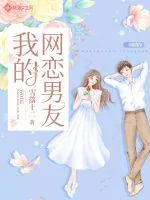 《我的网恋男友》小说封面