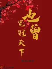 《也曾宠冠天下》小说封面