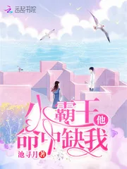 《小霸王他命中缺我》小说封面