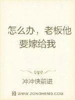 《怎么办，老板他要嫁给我》小说封面