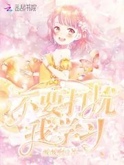 《不要打扰我学习》小说封面