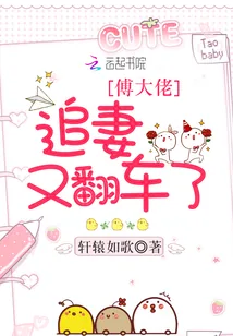 《傅大佬追妻又翻车了》小说封面