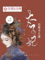 《太子妃总是不上进》小说封面