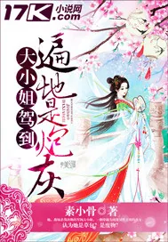 《大小姐驾到之遍地是炮灰》小说封面