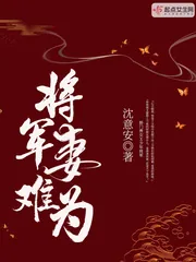 《将军妻难为》小说封面