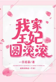 《我家王妃圆滚滚》小说封面