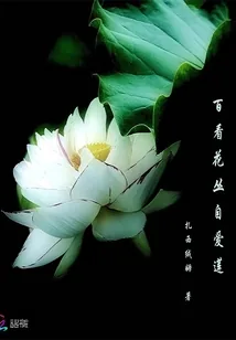 《百看花丛自爱莲》小说封面