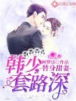 《替身甜妻：韩少套路深》小说封面