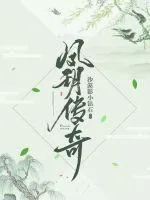 《凤玥传奇》小说封面