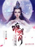 《唯明月不可辜负》小说封面