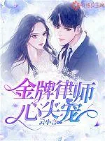 《金牌律师心尖宠》小说封面