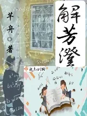 《解芳澄》小说封面