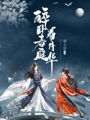《醉卧春庭看月华》小说封面