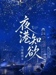 《夜港知欲》小说封面