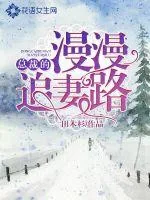 《总裁的漫漫追妻路》小说封面