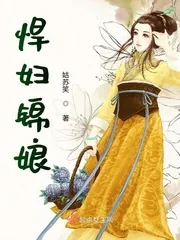 《悍妇锦娘》小说封面