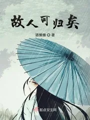 《故人可归矣》小说封面