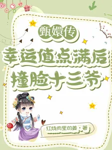 《甄嬛传:幸运值点满后撞脸十三爷》小说封面