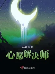 《心愿解决师》小说封面