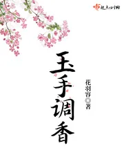 《玉手调香》小说封面