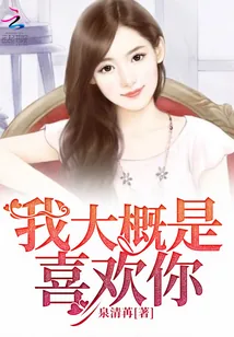 《我大概是喜欢你》小说封面