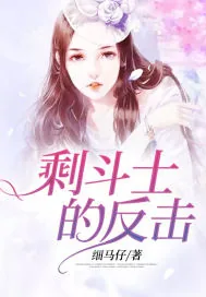 《剩斗士的反击》小说封面