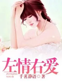 《左情右爱》小说封面