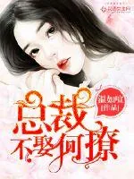《总裁，不娶何撩！》小说封面