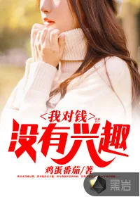 《我对钱没有兴趣》小说封面