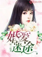 《婚爱迷途》小说封面