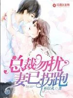 《总裁勿扰，妻已拐跑》小说封面