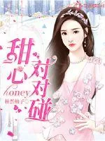《甜心honey对对碰》小说封面