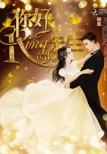 《你好，King先生》小说封面