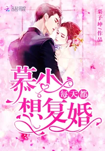 《慕少每天都想复婚》小说封面