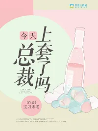 《今天总裁上套了吗》小说封面