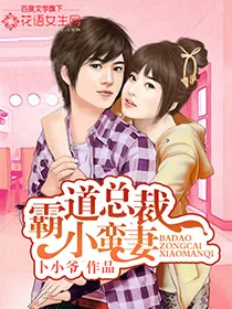 《霸婚总裁小蛮妻》小说封面