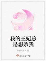 《我的王妃总是想杀我》小说封面