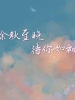 《余秋至晚待你如初》小说封面