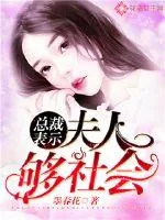 《总裁表示：夫人够社会！》小说封面